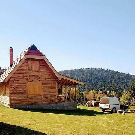 Brvnara Tara Villa Bajina Basta Bagian luar foto