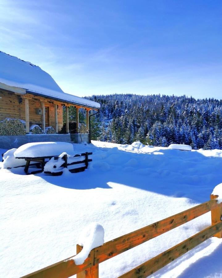 Brvnara Tara Villa Bajina Basta Bagian luar foto