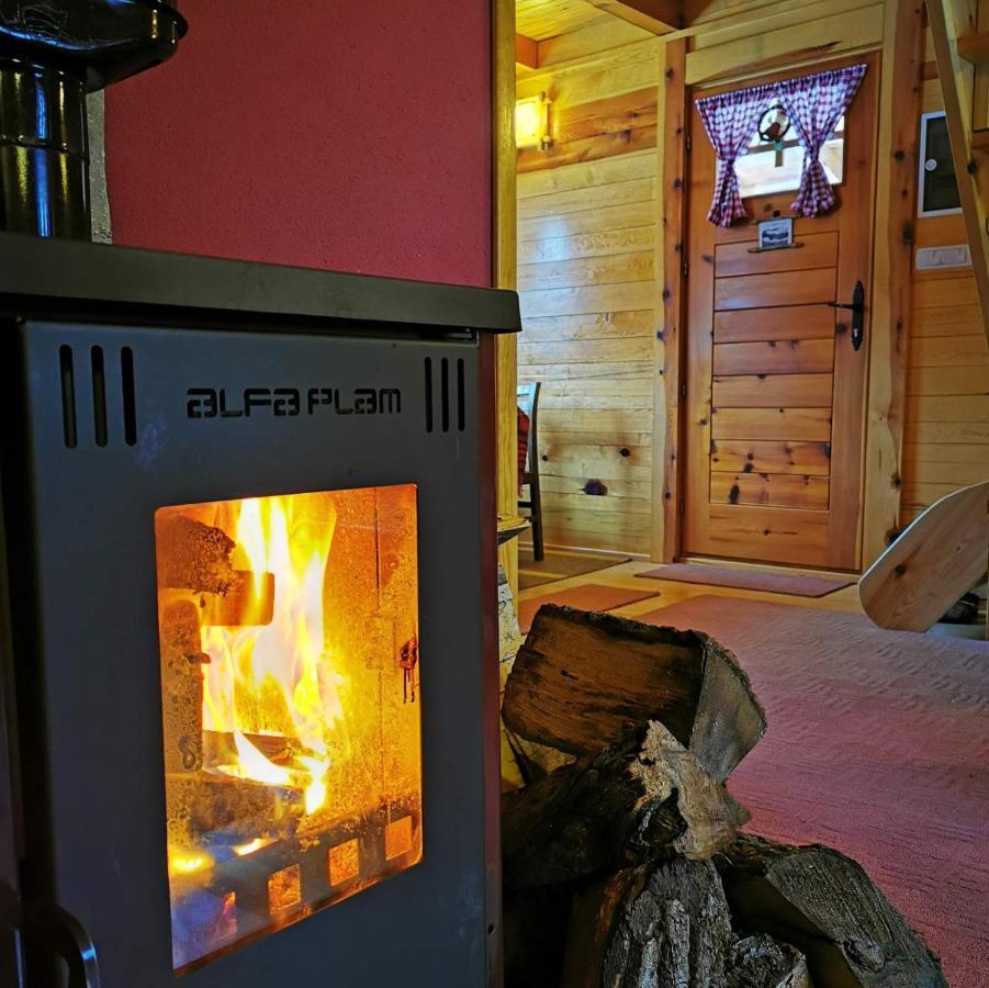 Brvnara Tara Villa Bajina Basta Bagian luar foto