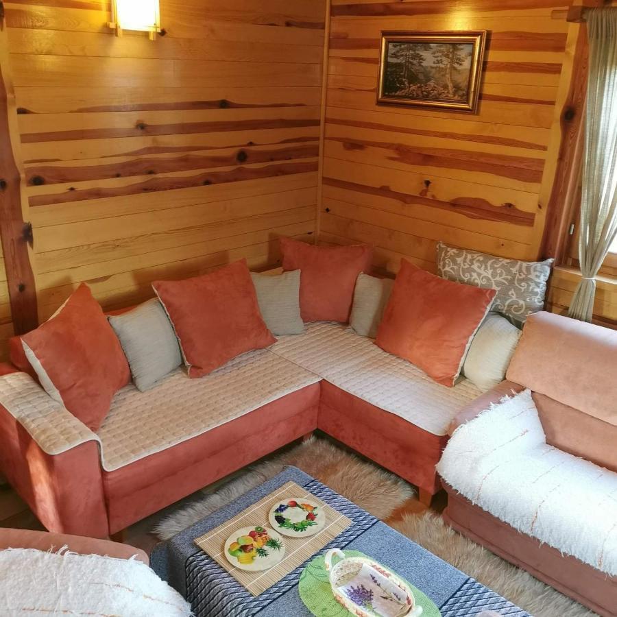 Brvnara Tara Villa Bajina Basta Bagian luar foto