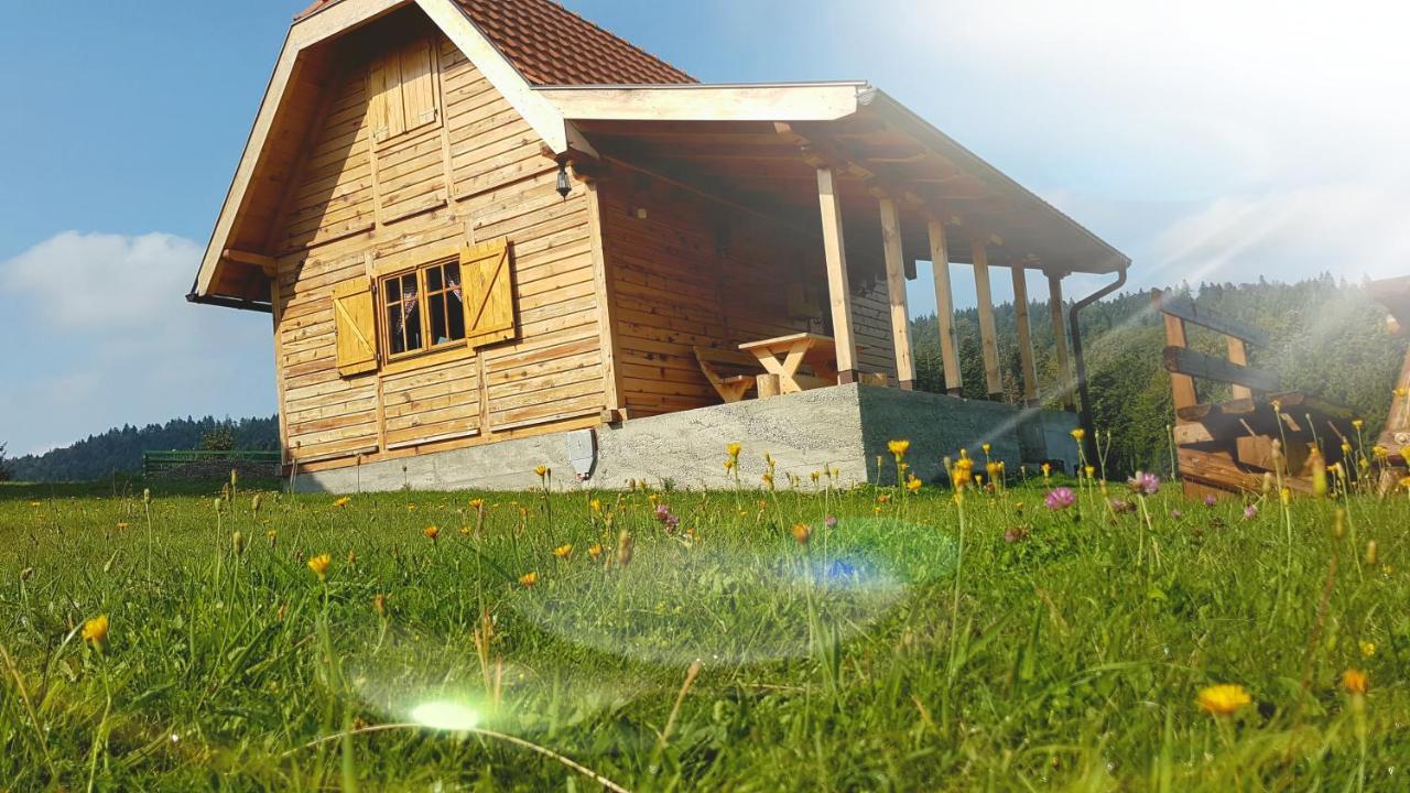 Brvnara Tara Villa Bajina Basta Bagian luar foto